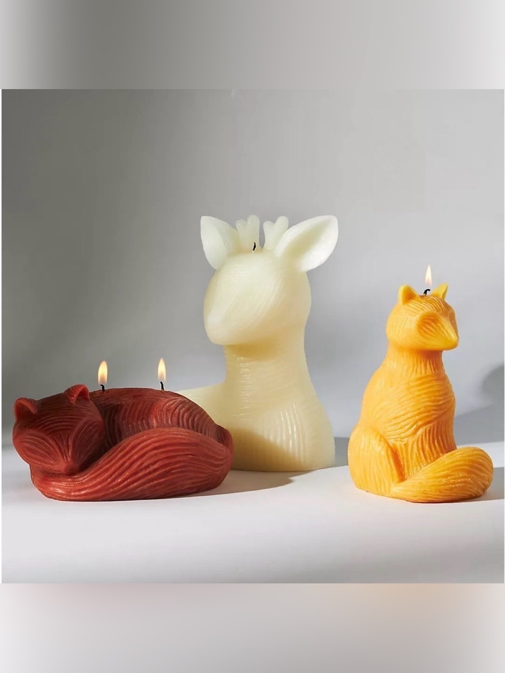 Anthropologie Pair of Fox Candles - Unused